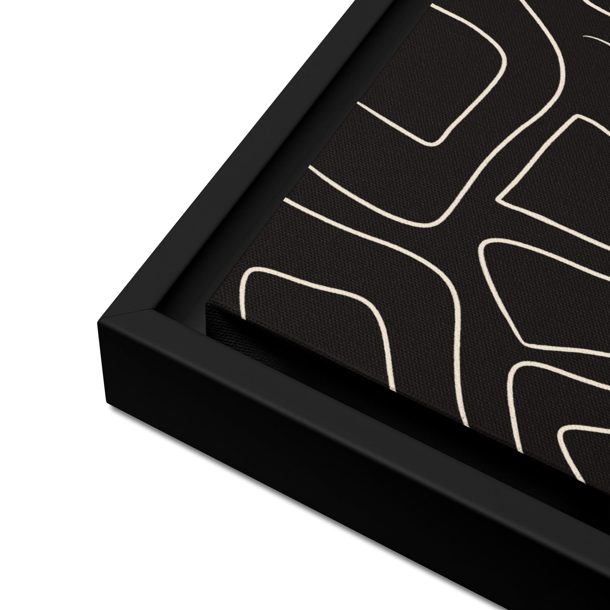 Fine Line Framed Canvas