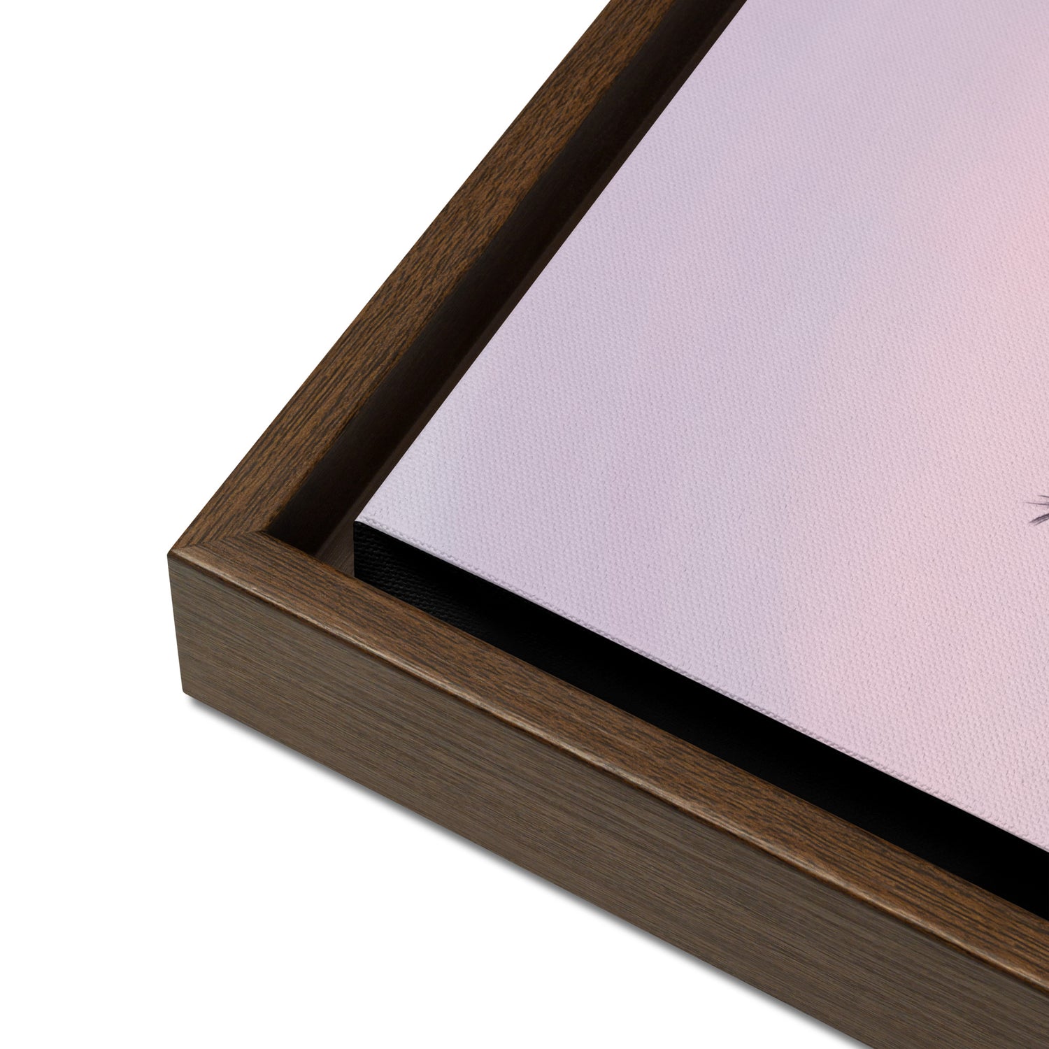 Palm Skies Framed Canvas