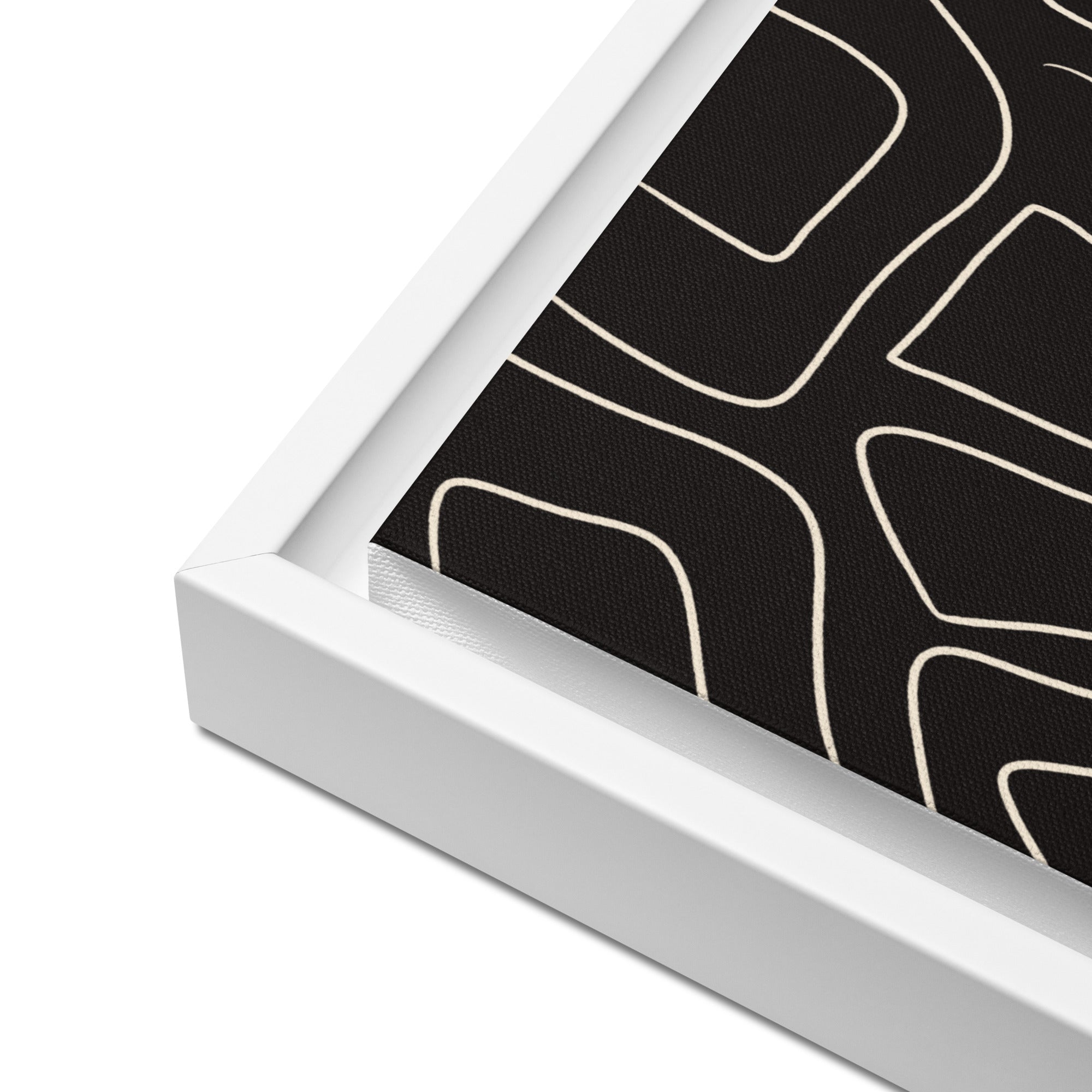 Fine Line Framed Canvas